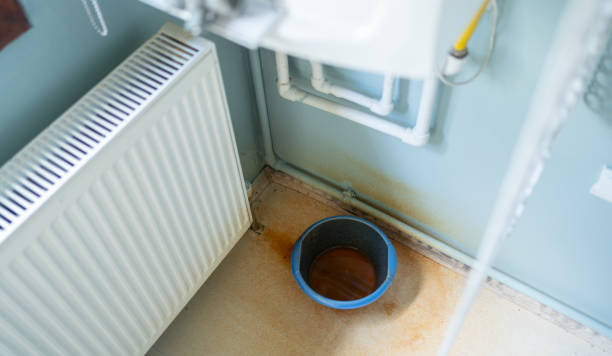 Best Water damage cleanup near me  in Oak Hills, CA